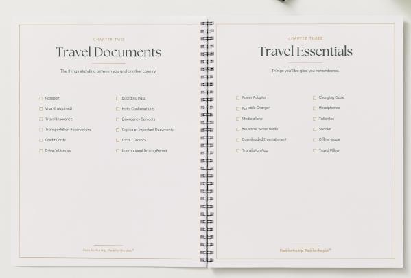International Travel Checklist | Travel Planner Printable | Vacation Checklist | Digital Download | GoodNotes Planner | Pack for the Plot™
